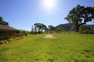 Bocce Ball Court