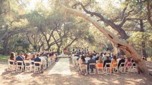 Sunkissed Ceremony under the Trees