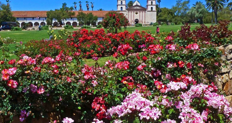 Mission Rose Garden - Lawn - Santa Barbara Venues