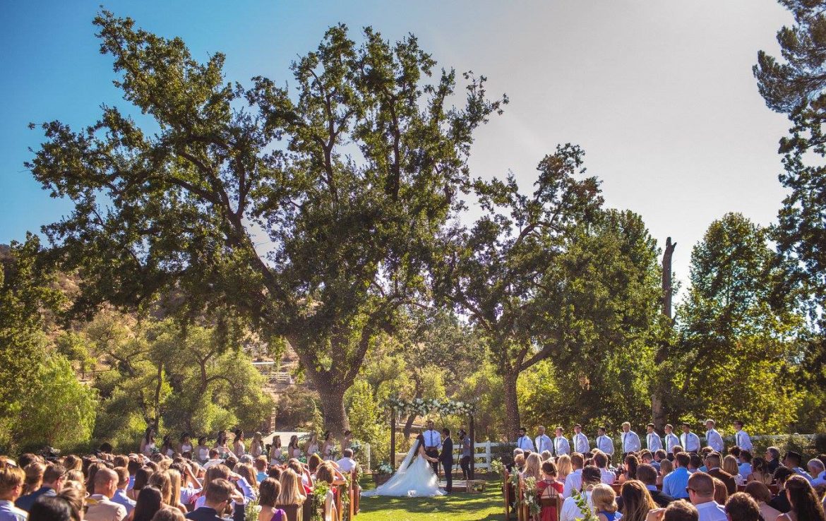 Beautiful Ceremony under the Trees