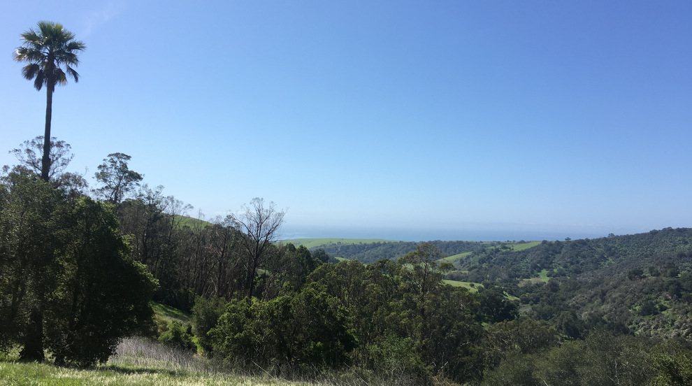 ワイン Ridge 2002  Ranch Santa Cruz Ridge Home Ranch 2002 | Wine.com
