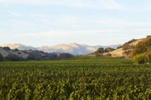 santa ynez valley