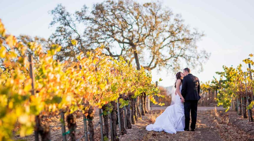 gainey vineyard wedding