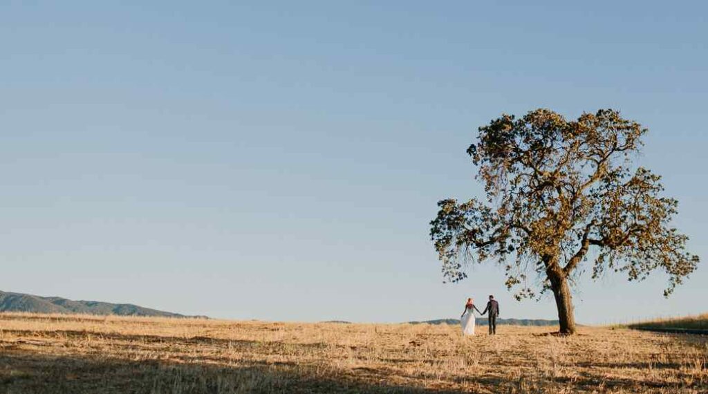 picturesque landscape gainey