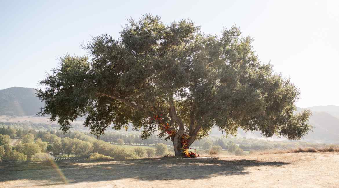 River Edge Farm